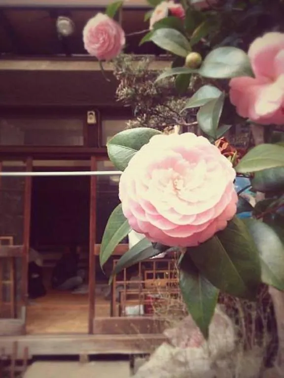 Gomaharu Guesthouse Osaka Japan
